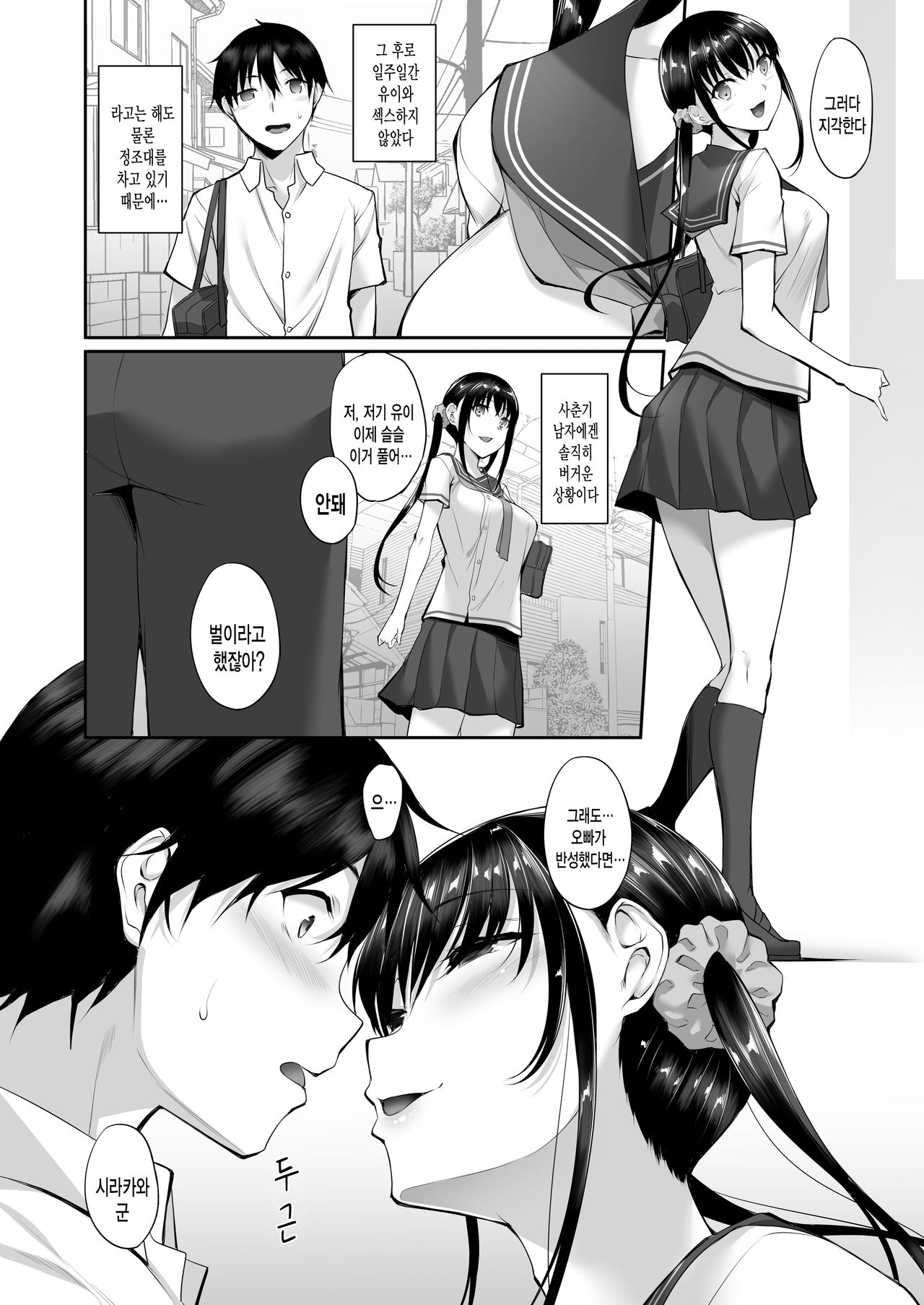 [In The Sky (Nakano Sora)] SISUANA - sister hole 2 | 시스 아나 2 [Korean] [그림판전사] [Digital] image number 5