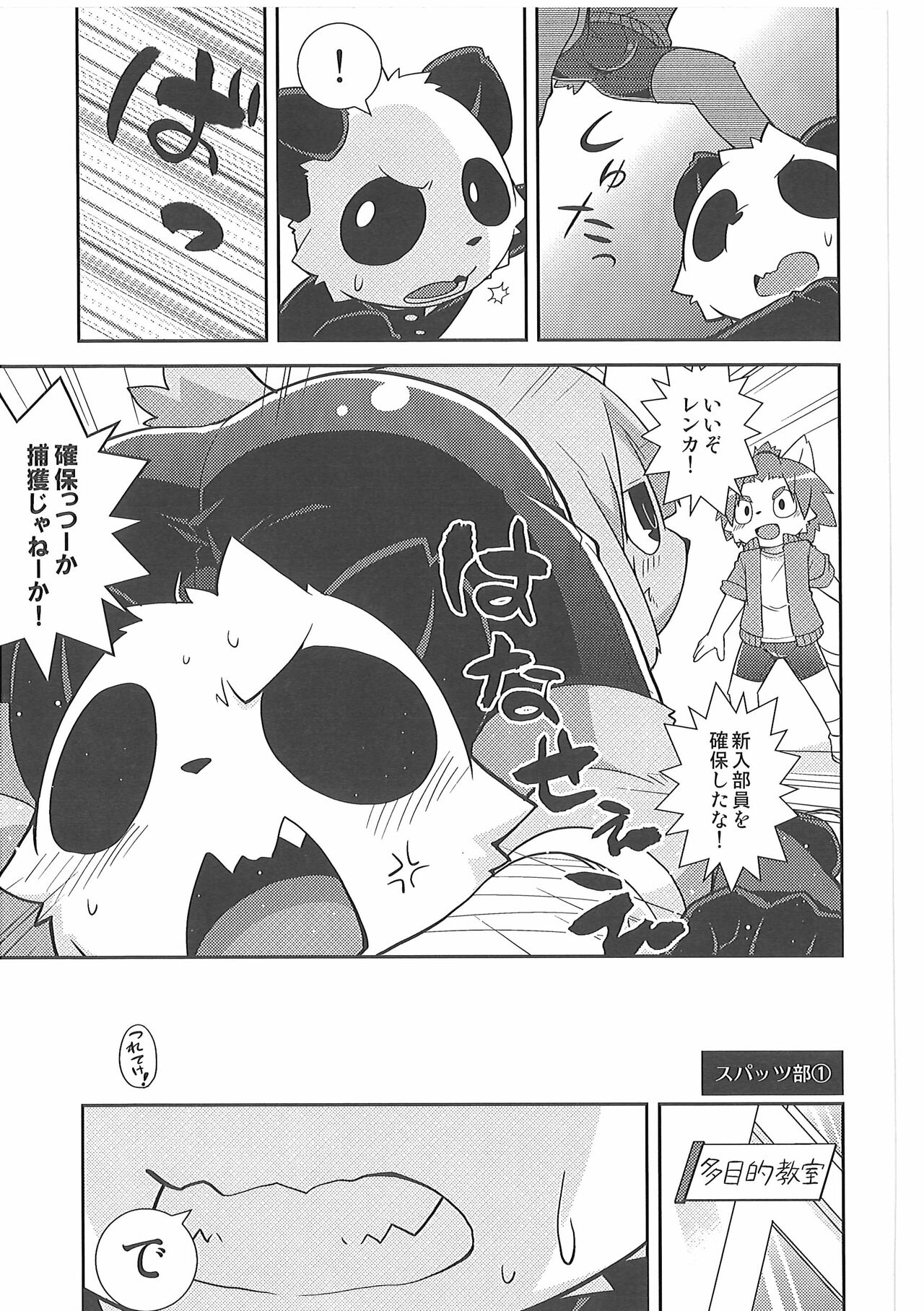 (Spring Kemoket 5) [PELL-MELL WORKS (Kougami)] Bu Katsudou Nisshi Spats-bu no Baai 이미지 번호 6