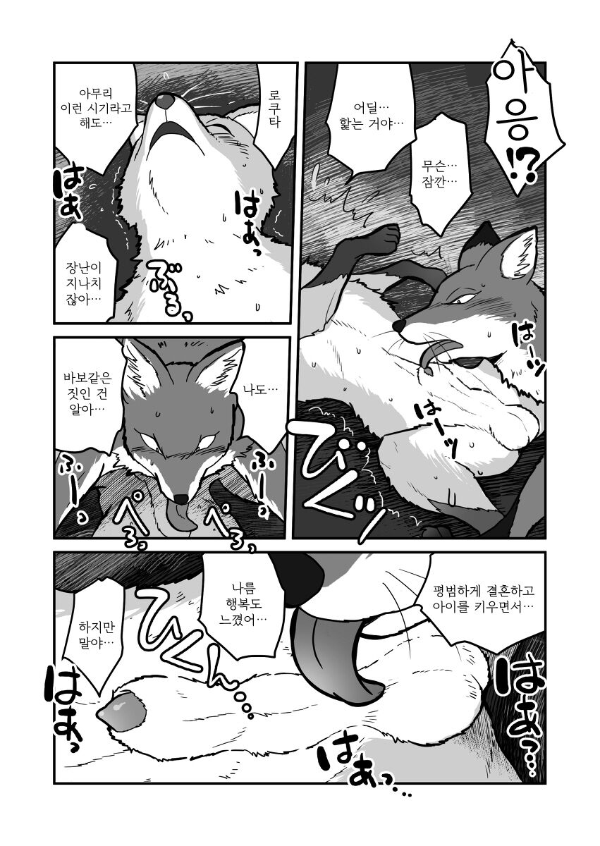 [Maririn] Kitsune x Kitsune Manga | 여우♂×여우♂ 만화 [Korean] [Digital] 画像番号 12