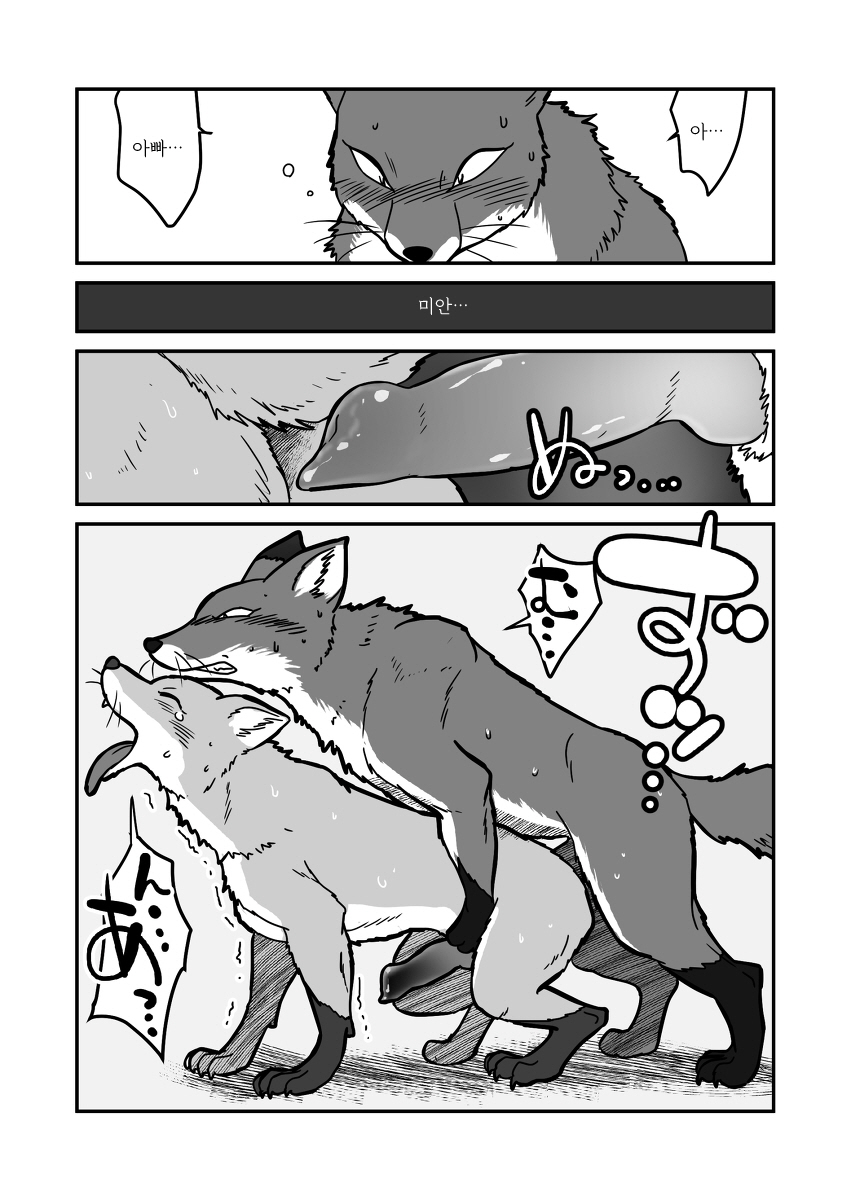 [Maririn] Kitsune x Kitsune Manga | 여우♂×여우♂ 만화 [Korean] [Digital] 画像番号 18