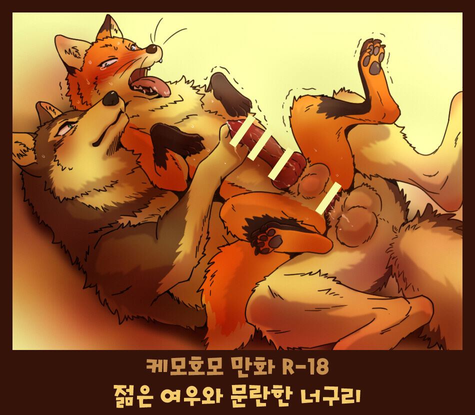 (Kansai! Kemoket 4) [Maririn] Tanuki x Kitsune | 젊은 여우와 문란한 너구리 [Korean] [Digital] première image