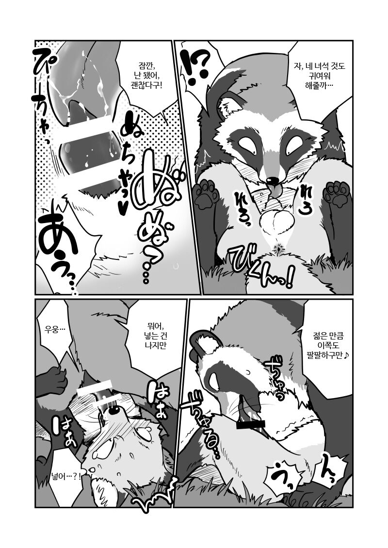 (Kansai! Kemoket 4) [Maririn] Tanuki x Kitsune | 젊은 여우와 문란한 너구리 [Korean] [Digital] 6eme image