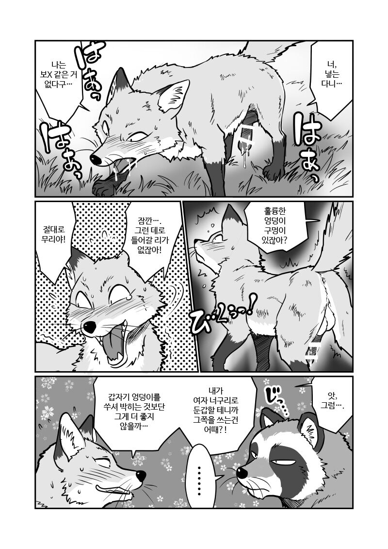 (Kansai! Kemoket 4) [Maririn] Tanuki x Kitsune | 젊은 여우와 문란한 너구리 [Korean] [Digital] 7eme image