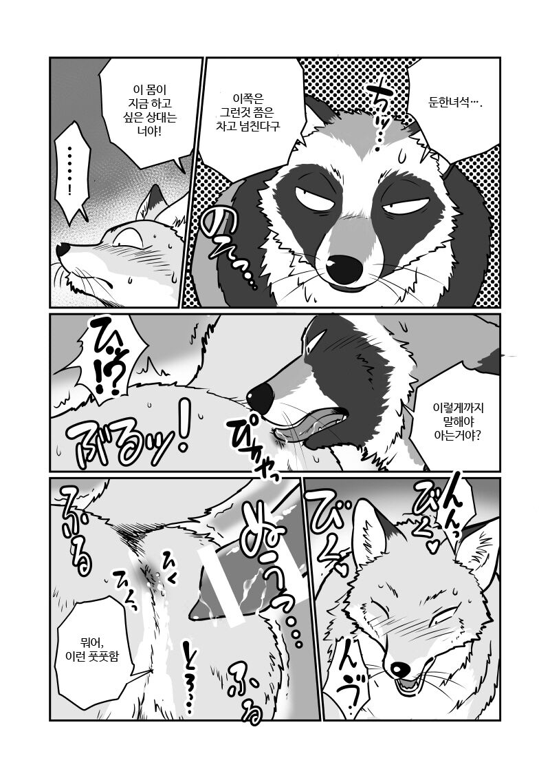 (Kansai! Kemoket 4) [Maririn] Tanuki x Kitsune | 젊은 여우와 문란한 너구리 [Korean] [Digital] 8eme image