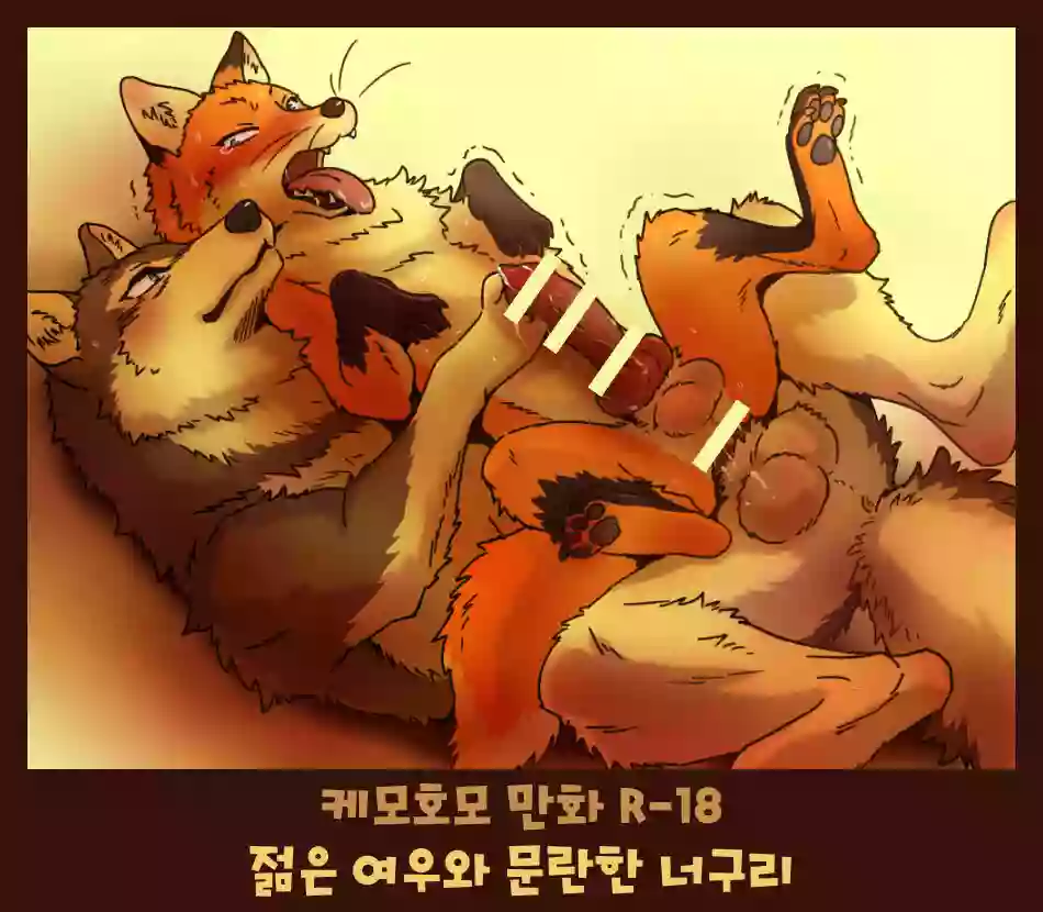 (Kansai! Kemoket 4) [Maririn] Tanuki x Kitsune | 젊은 여우와 문란한 너구리 [Korean] [Digital]