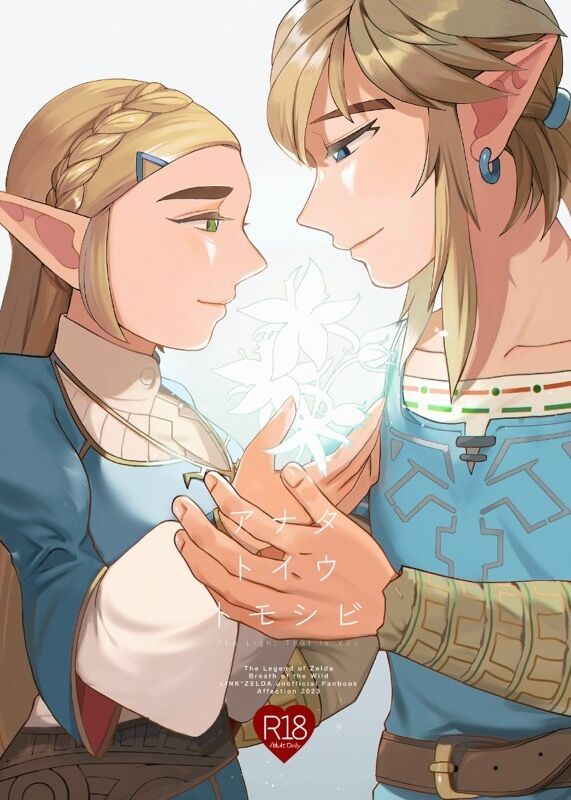 [Souakira (shimo yō))][Orusuta 21 shinkan sanpuru R 18] anatatoiutomoshibi(The Legend of Zelda) [Sample 图片编号 1