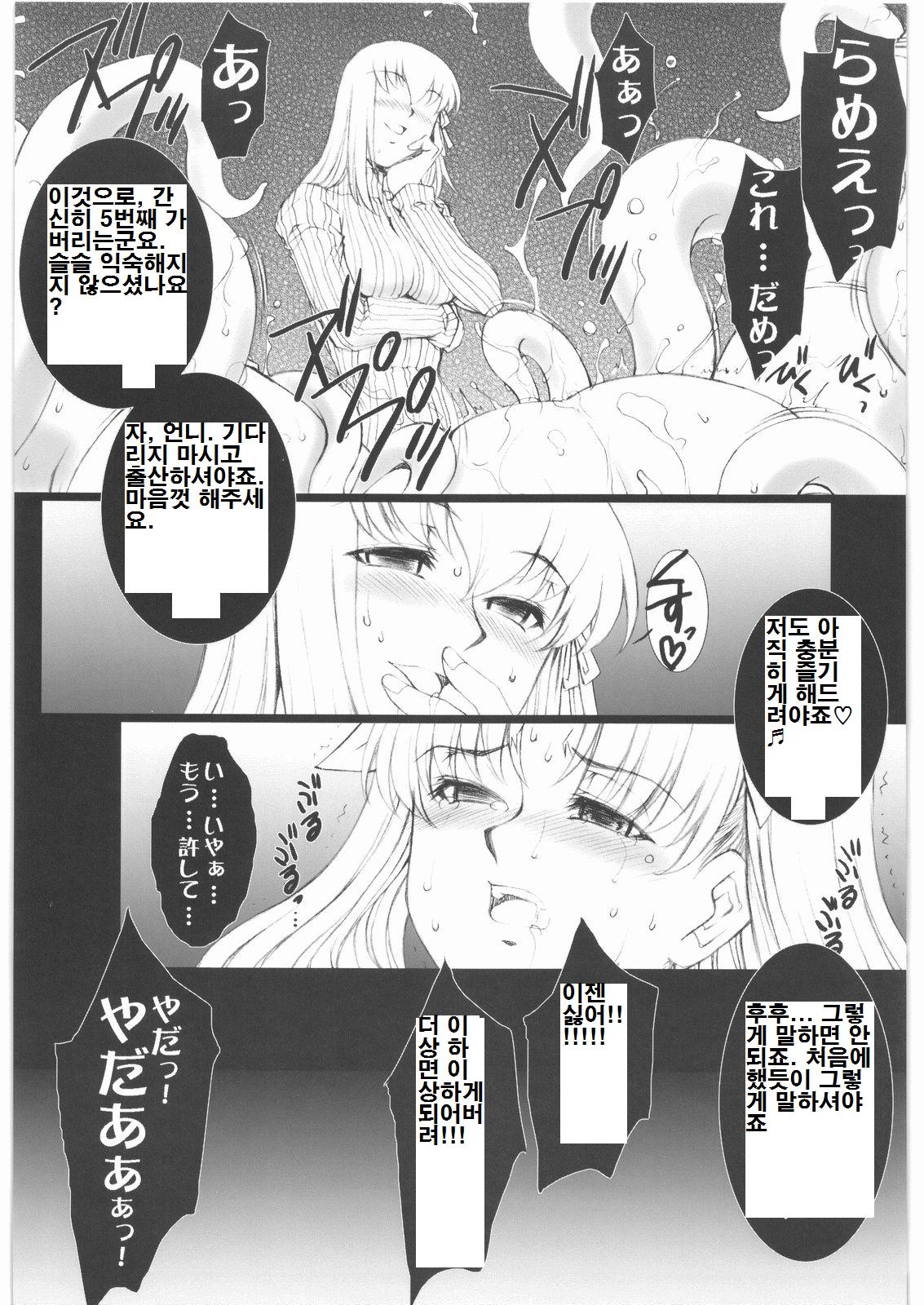 (SC34) [H.B (B-RIVER)] Red Degeneration -DAY/2- (Fate/stay night) [Korean] 图片编号 7