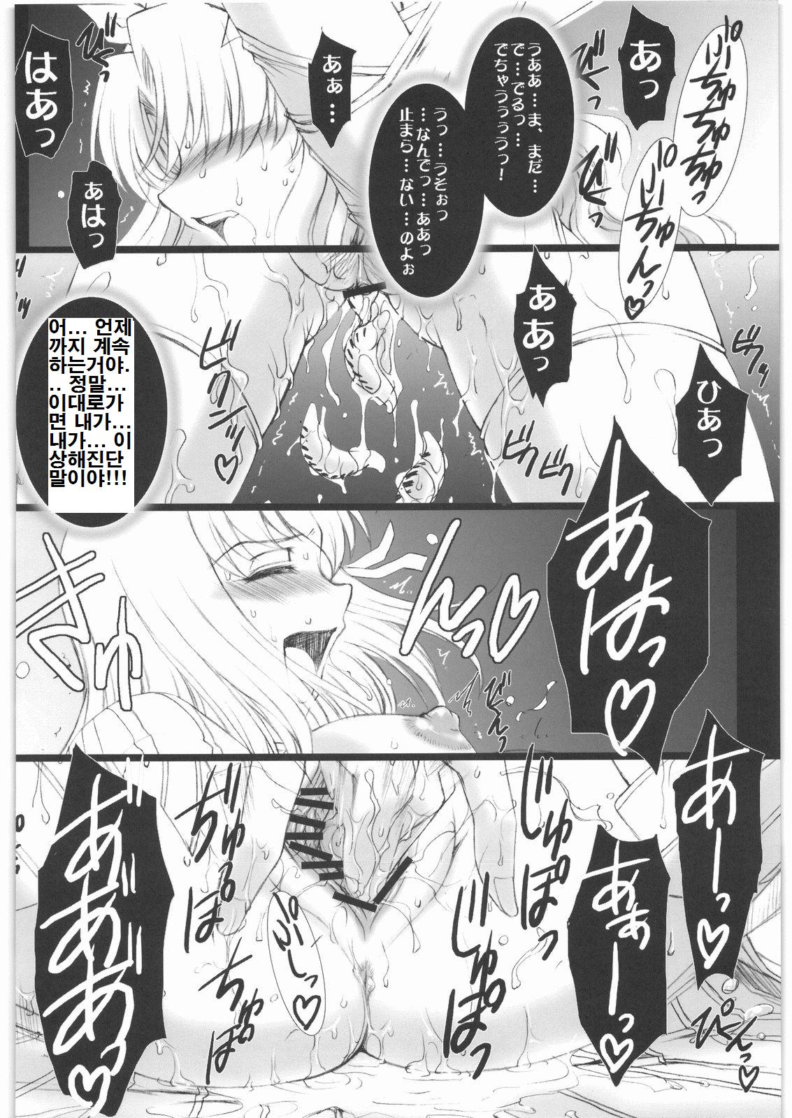 (SC34) [H.B (B-RIVER)] Red Degeneration -DAY/2- (Fate/stay night) [Korean] 图片编号 12