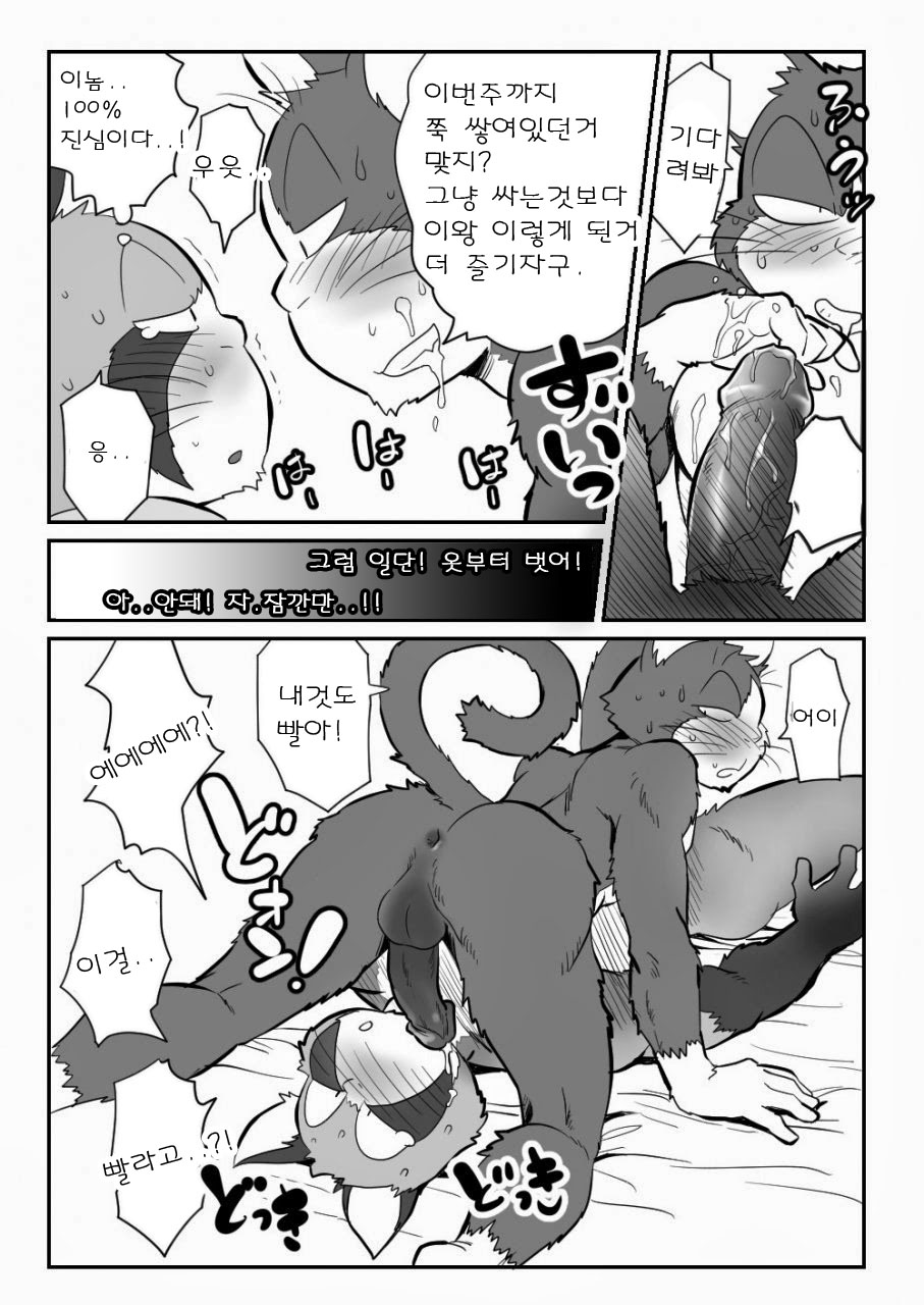 [Maririn] Neko x Neko | 고양이×고양이 1화 [Korean] [Digital] изображение № 13