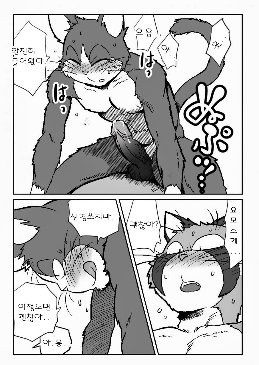 [Maririn] Neko x Neko | 고양이×고양이 1화 [Korean] [Digital] изображение № 19