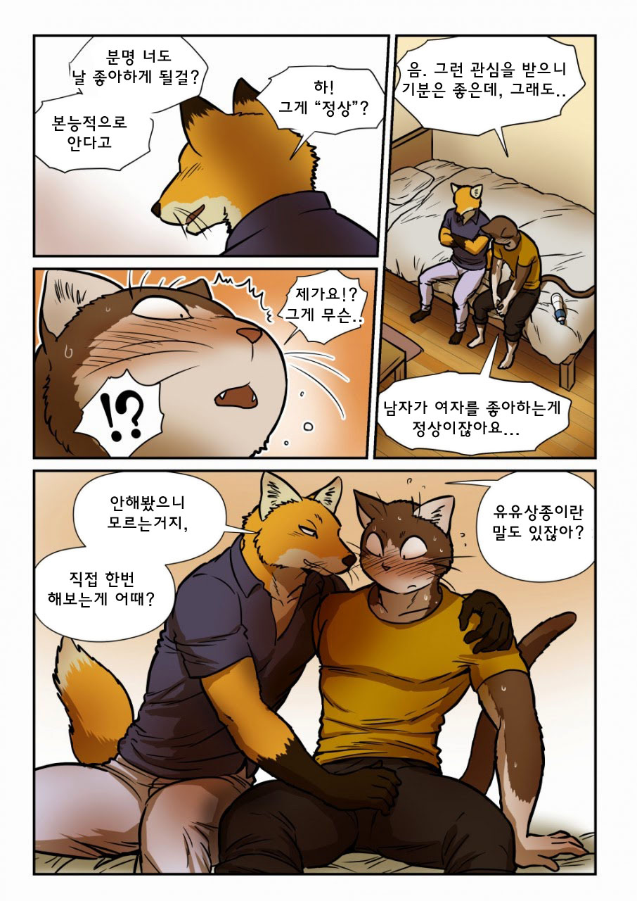 [Maririn] Kitsune x Neko Kemo Homo Ero Manga | 고양이×고양이 2화 - 여우×고양이 케모호모 에로 만화 [Korean] [Digital] изображение № 11