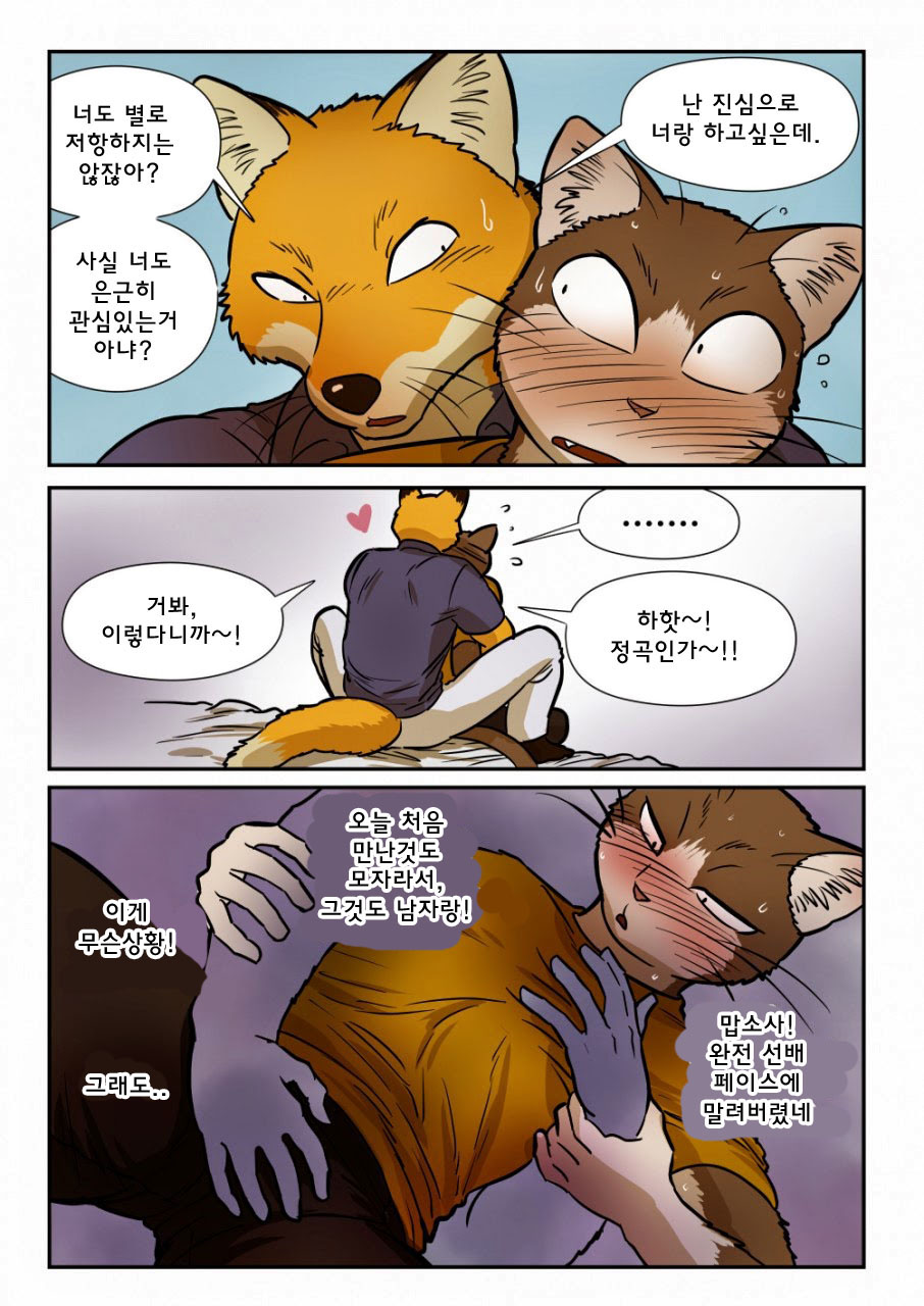 [Maririn] Kitsune x Neko Kemo Homo Ero Manga | 고양이×고양이 2화 - 여우×고양이 케모호모 에로 만화 [Korean] [Digital] изображение № 13