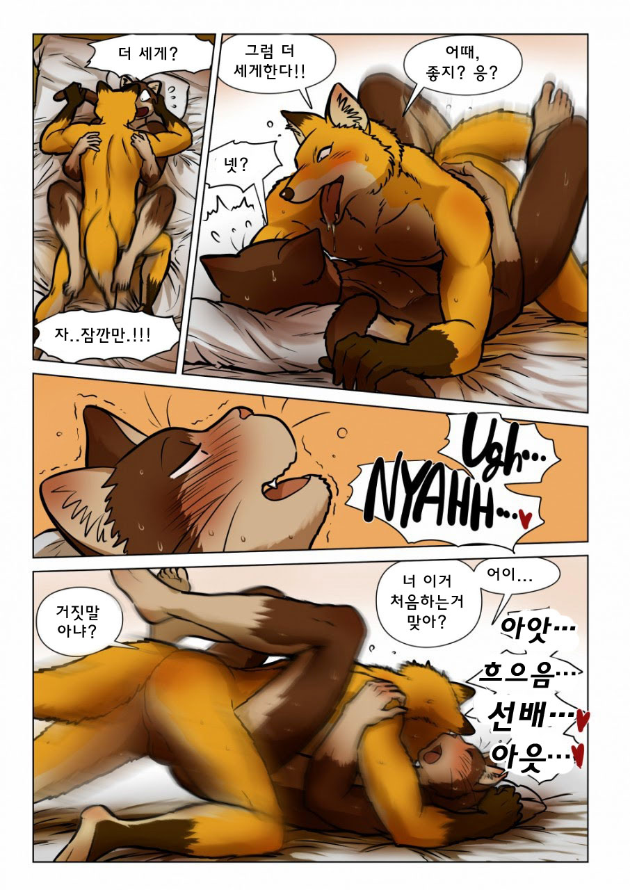 [Maririn] Kitsune x Neko Kemo Homo Ero Manga | 고양이×고양이 2화 - 여우×고양이 케모호모 에로 만화 [Korean] [Digital] изображение № 28