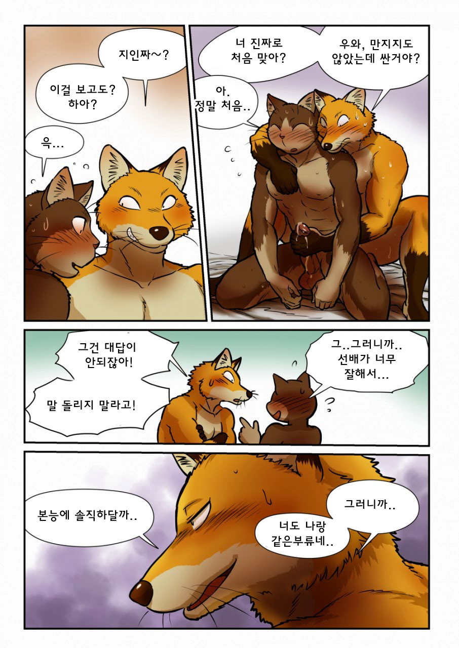 [Maririn] Kitsune x Neko Kemo Homo Ero Manga | 고양이×고양이 2화 - 여우×고양이 케모호모 에로 만화 [Korean] [Digital] изображение № 32