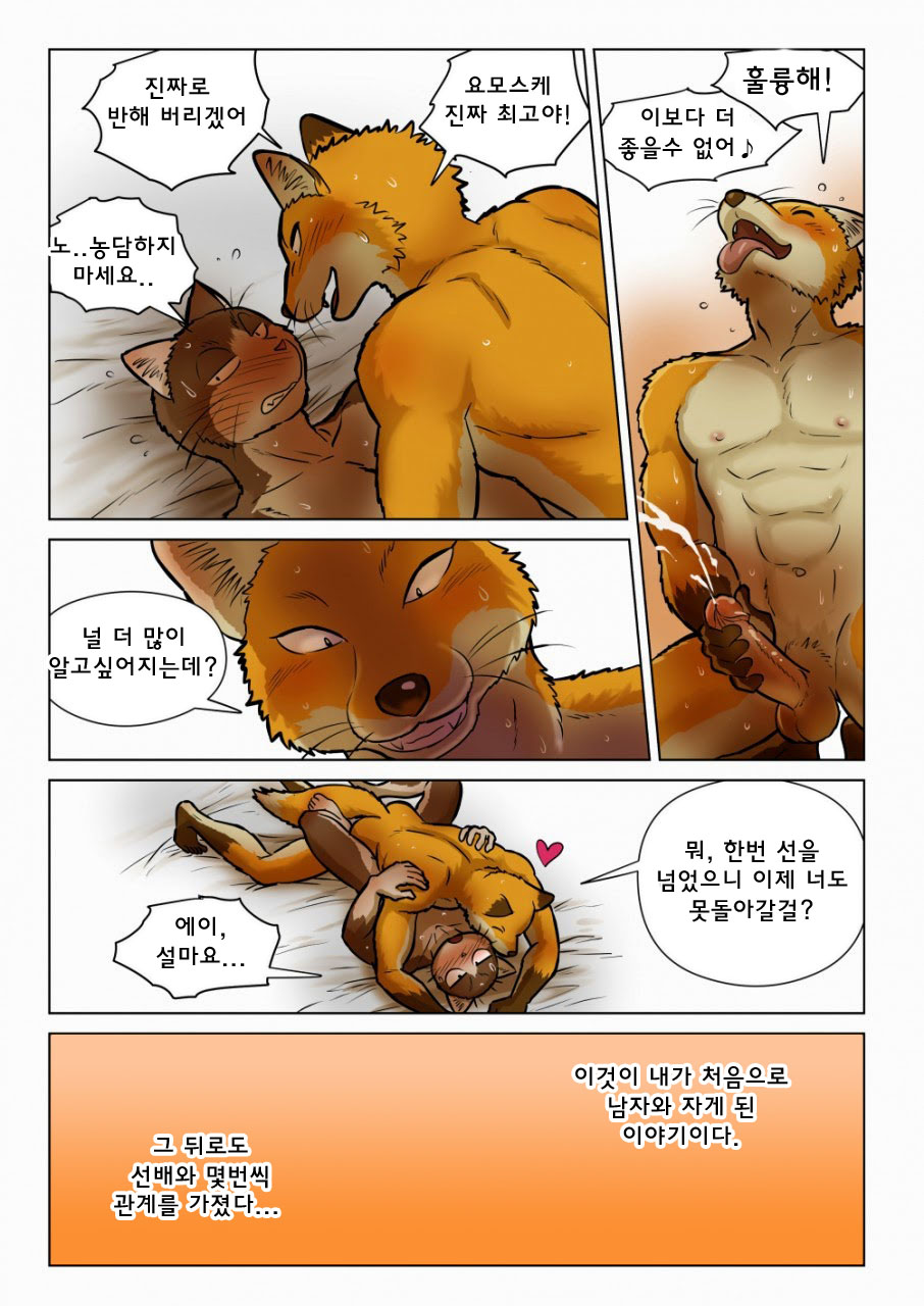 [Maririn] Kitsune x Neko Kemo Homo Ero Manga | 고양이×고양이 2화 - 여우×고양이 케모호모 에로 만화 [Korean] [Digital] изображение № 35