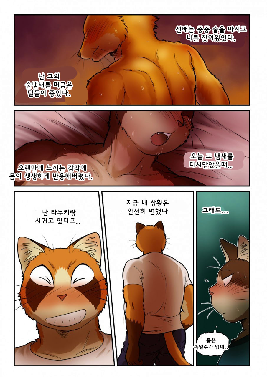 [Maririn] Kitsune x Neko Kemo Homo Ero Manga | 고양이×고양이 2화 - 여우×고양이 케모호모 에로 만화 [Korean] [Digital] изображение № 38