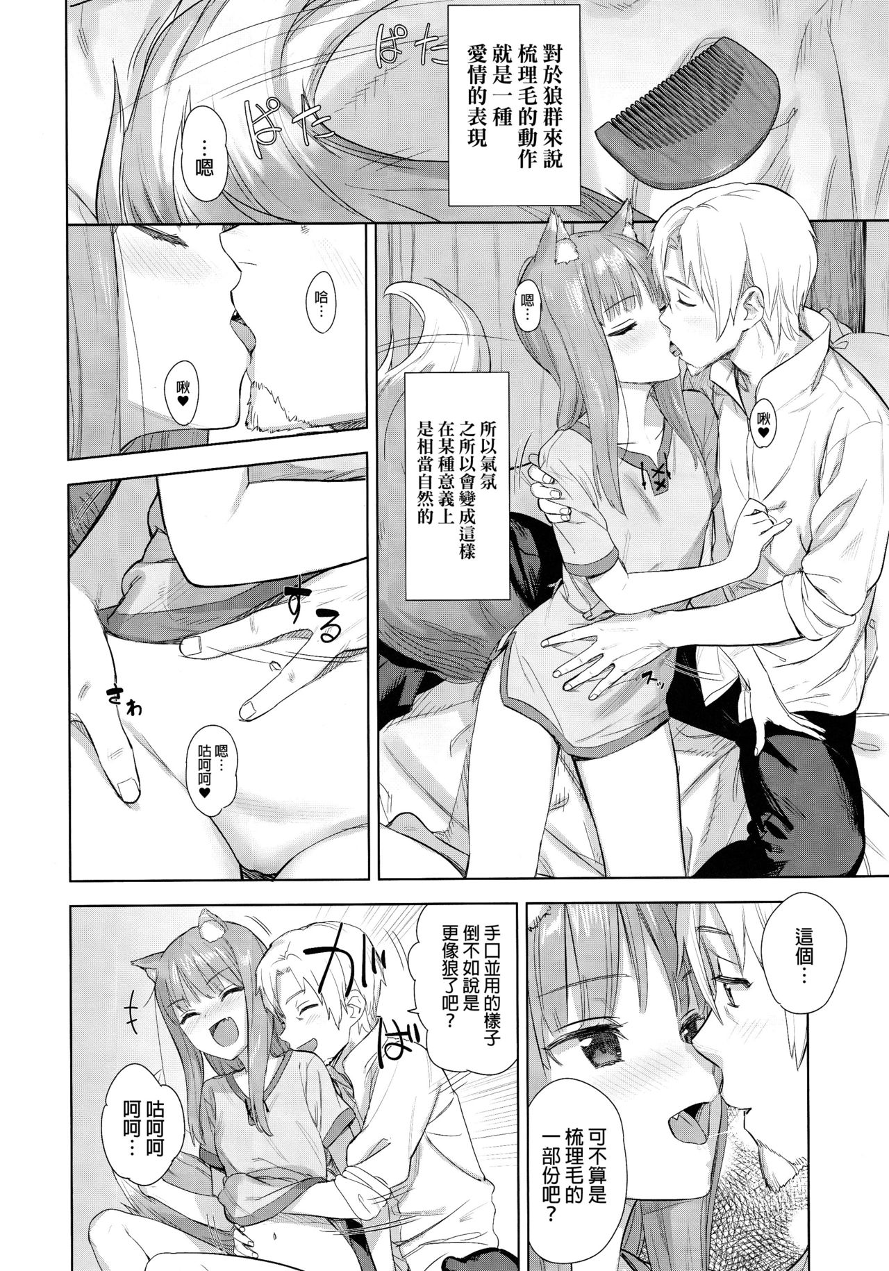 (C96) [Ajisaidenden (Kawakami Rokkaku, Takanashi Rei)] Wacchi to Shippori Kezukuroi Bon (Spice and Wolf) [Chinese] [final個人漢化] numero di immagine  5