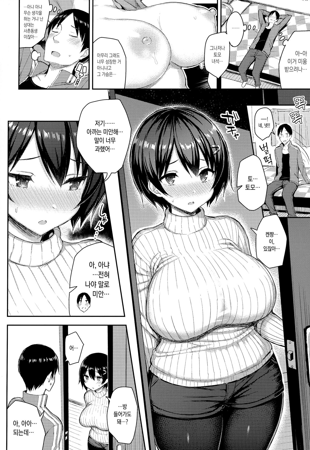(C95) [Ichibocchi (Ichinomiya Yuu)] Kyonyuu Itoko ga Iru Kyuuka | 거유 사촌누나가 있는 휴가 [Korean] numero di immagine  6