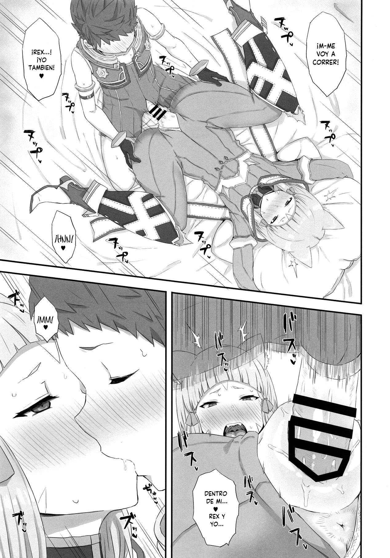 (COMIC1☆13) [Gomuhachi (Gomu)] Watashi no Omoi o Anata ni... (Xenoblade 2) [Spanish] [NekoCreme] numero di immagine  8