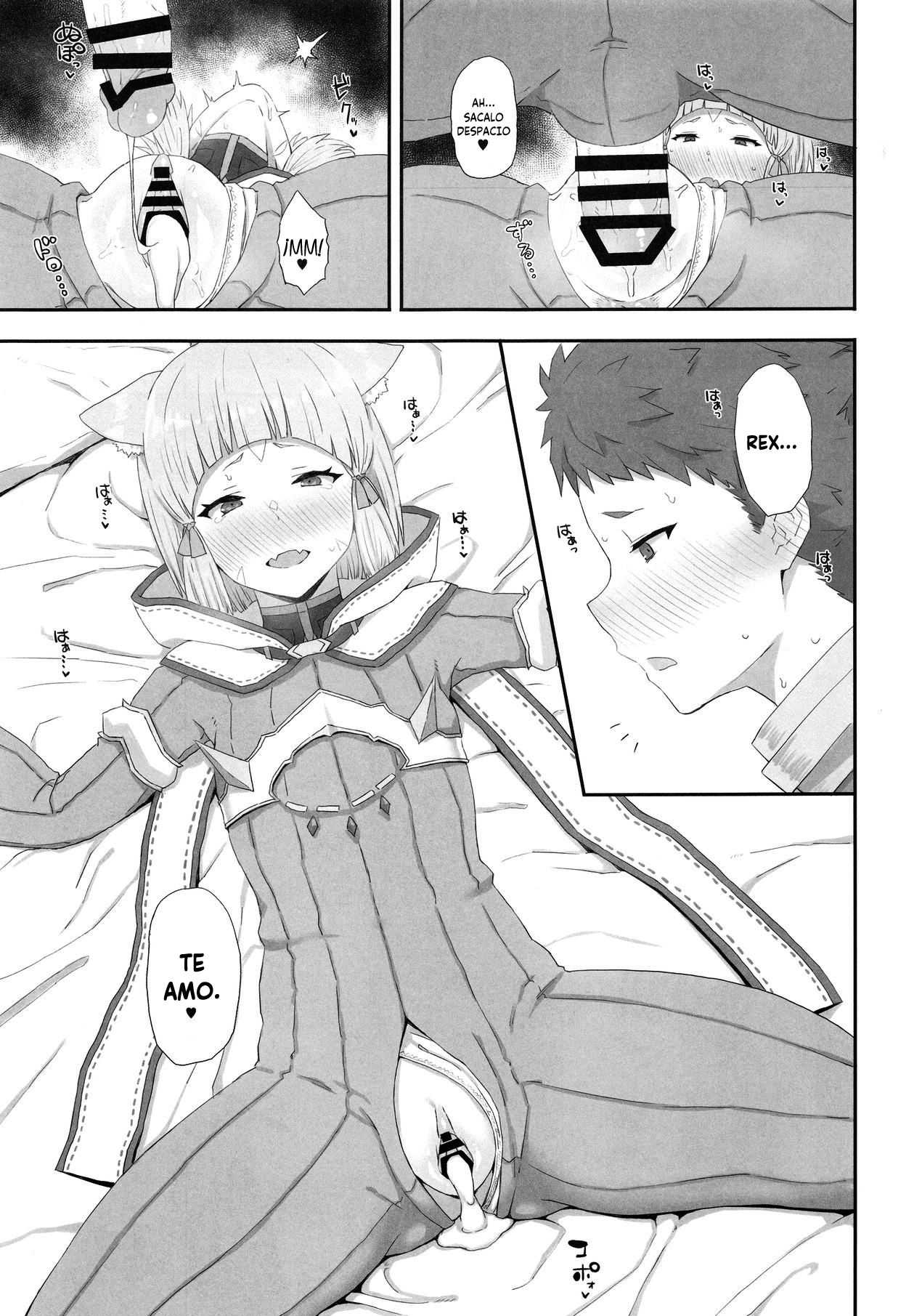 (COMIC1☆13) [Gomuhachi (Gomu)] Watashi no Omoi o Anata ni... (Xenoblade 2) [Spanish] [NekoCreme] numero di immagine  10