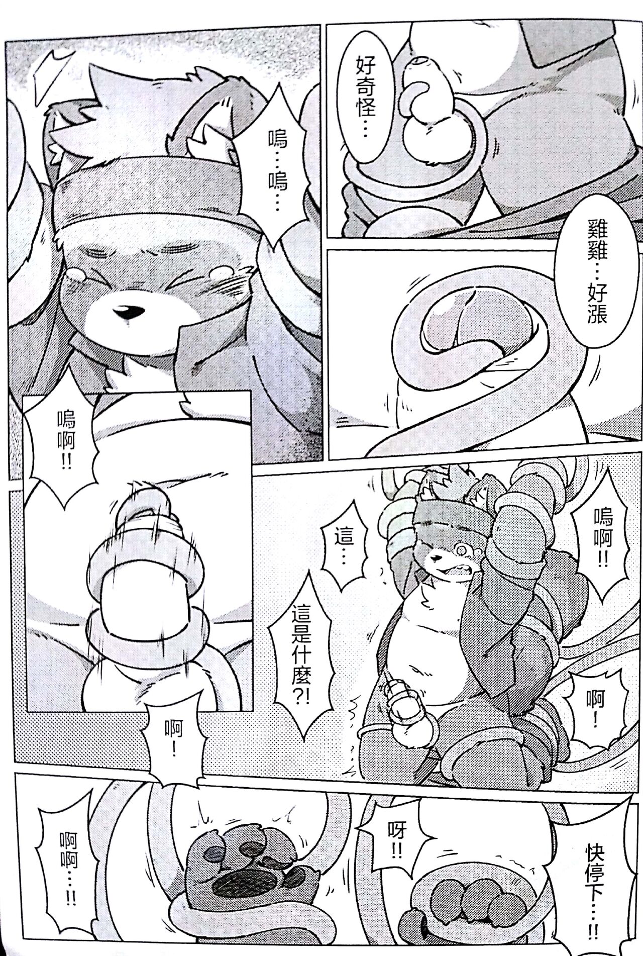 [wolfsoul (狼小魂)]瓜田狸下 图片编号 9