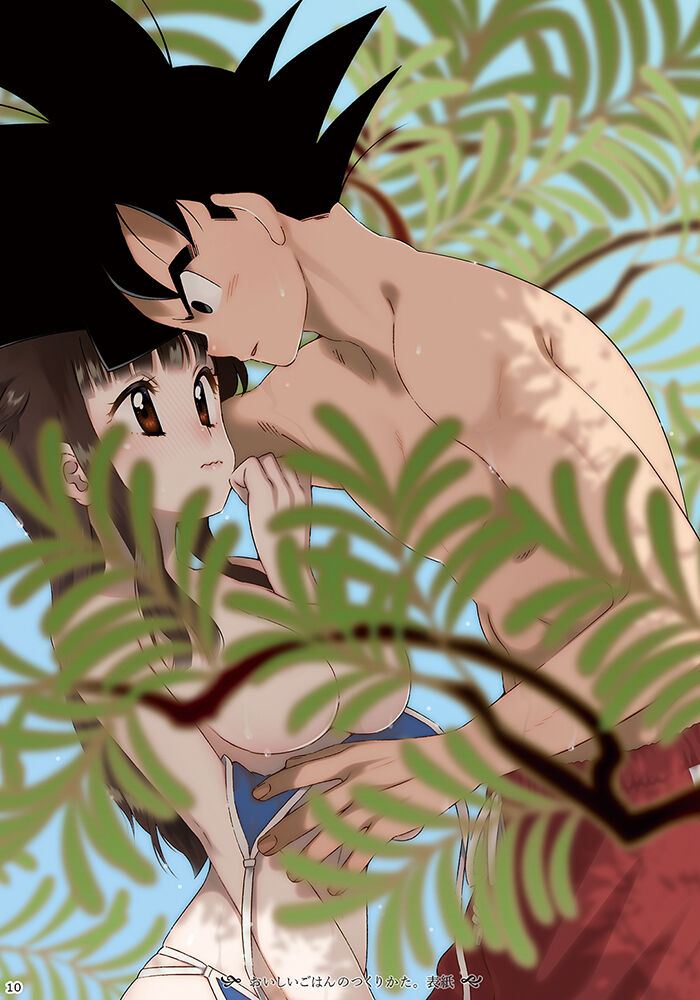 [S-FLAKE (Yukimitsu)] GO!!! CHiCHi Son Goku x Chi Chi Sairokushuu (Dragon Ball) [Sample] 图片编号 3