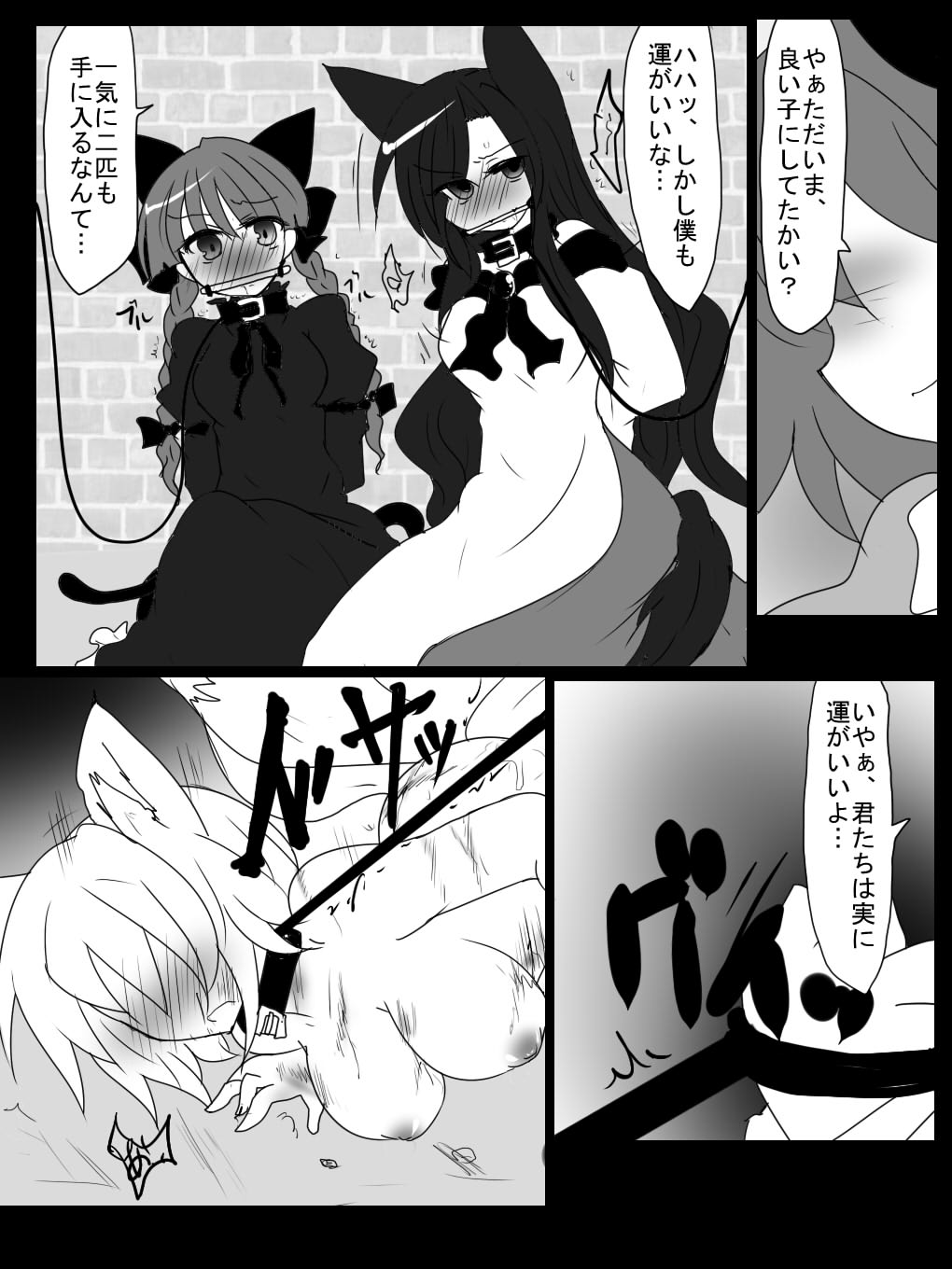 [Buuwa] Shotanazu kimi no kemomimikorekushon(Touhou Project) 图片编号 3