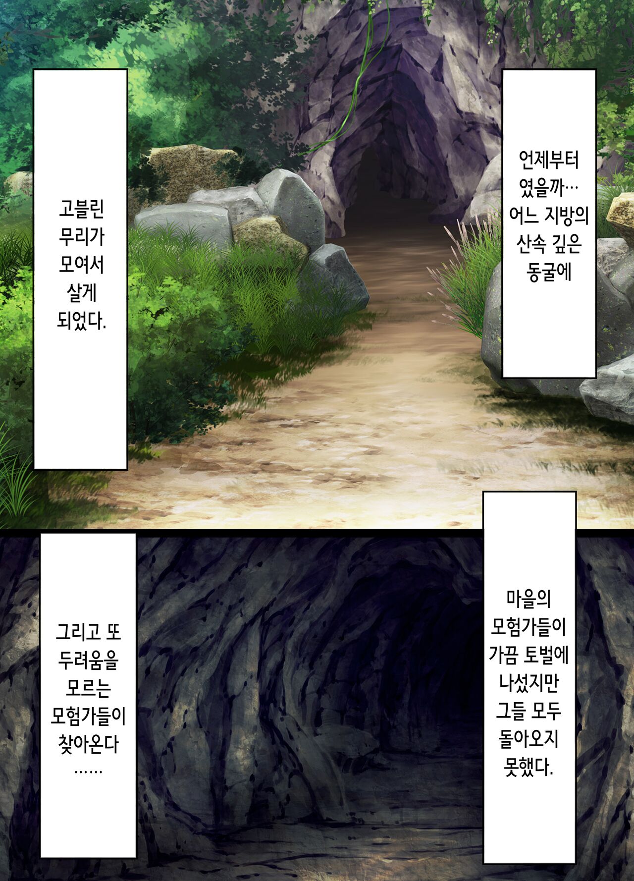 [Tori no Oishii Tokoro (Torisan)] Goblin's Slave ~Reizoku Sennou de Goblin no Geboku ni Ochiru Mesu Boukensha-tachi~ | 고블린즈 슬레이브 ~노예 세뇌로 고블린의 부하가 되어버린 암컷 모험가들~ [Korean] 이미지 번호 3