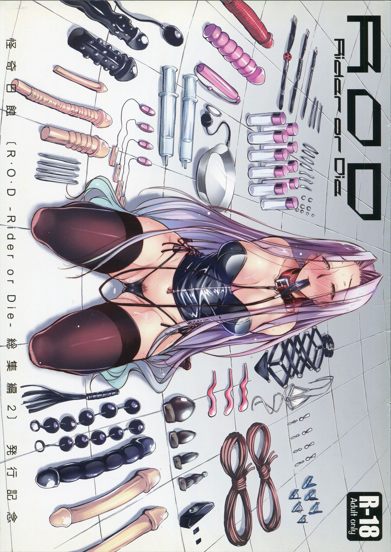 [怪奇日蝕 (綾野なおと)] Rider or Die 総集編 2 発行記念 image number 1