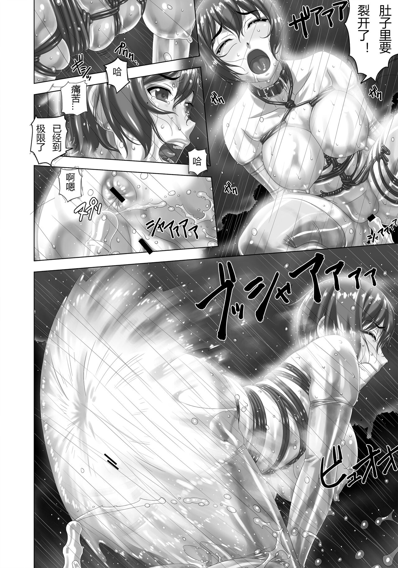 [Tairikukan Dandoudan Dan (Sakura Romako)] Arashi o Yobu Onna [Digital] [Chinese] image number 14