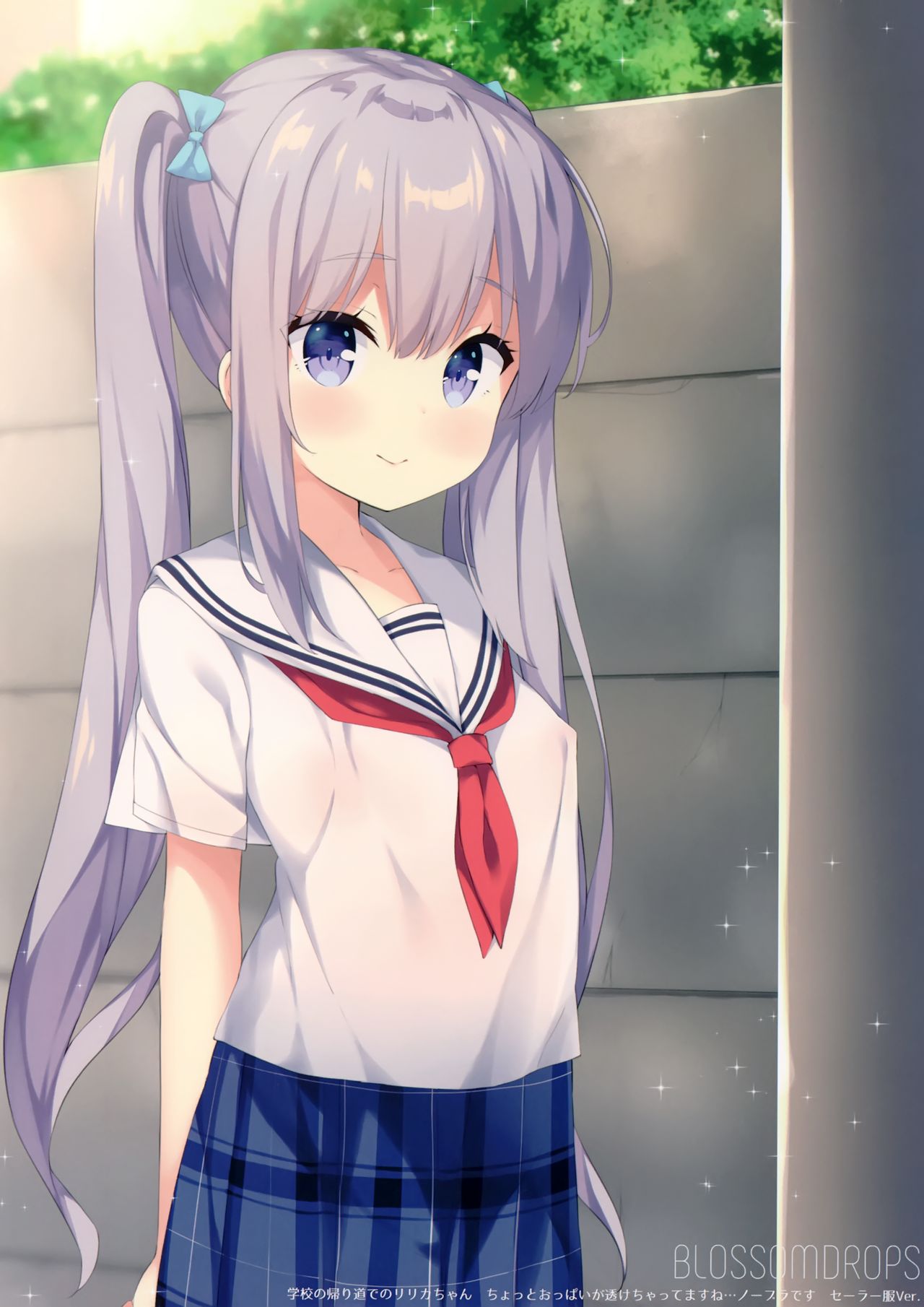 (C96) [croix crown (Mimura Zaja)] BLOSSOMDROPS 图片编号 16