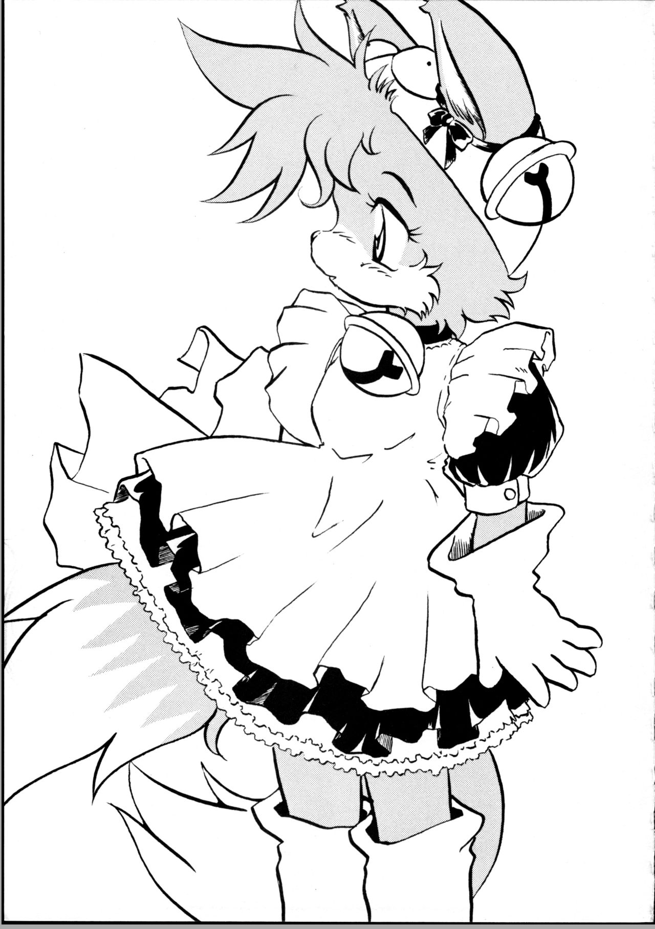 (C59) [Tadashii Kemonomichi (Enneko)] Boom (Sonic The Hedgehog) 图片编号 4