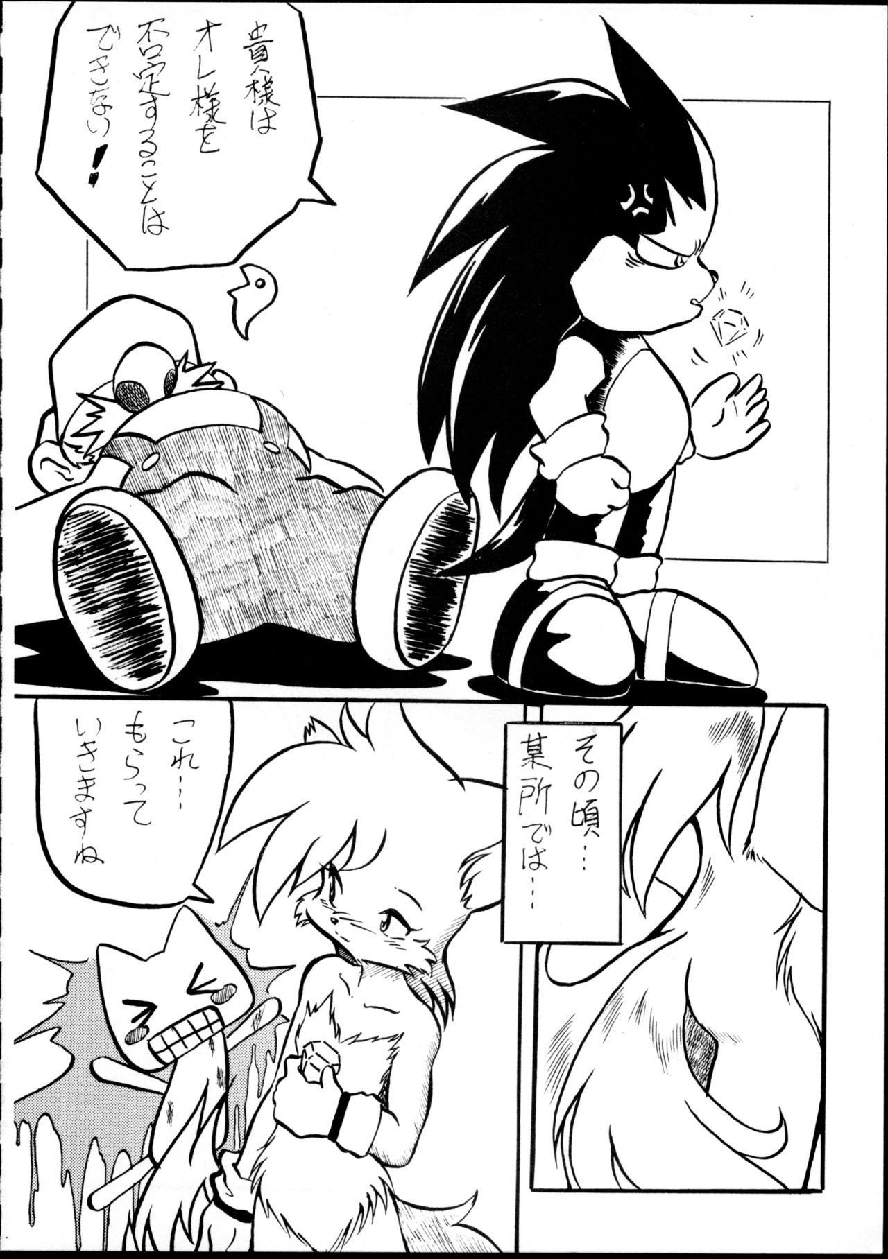 (C59) [Tadashii Kemonomichi (Enneko)] Boom (Sonic The Hedgehog) 图片编号 7