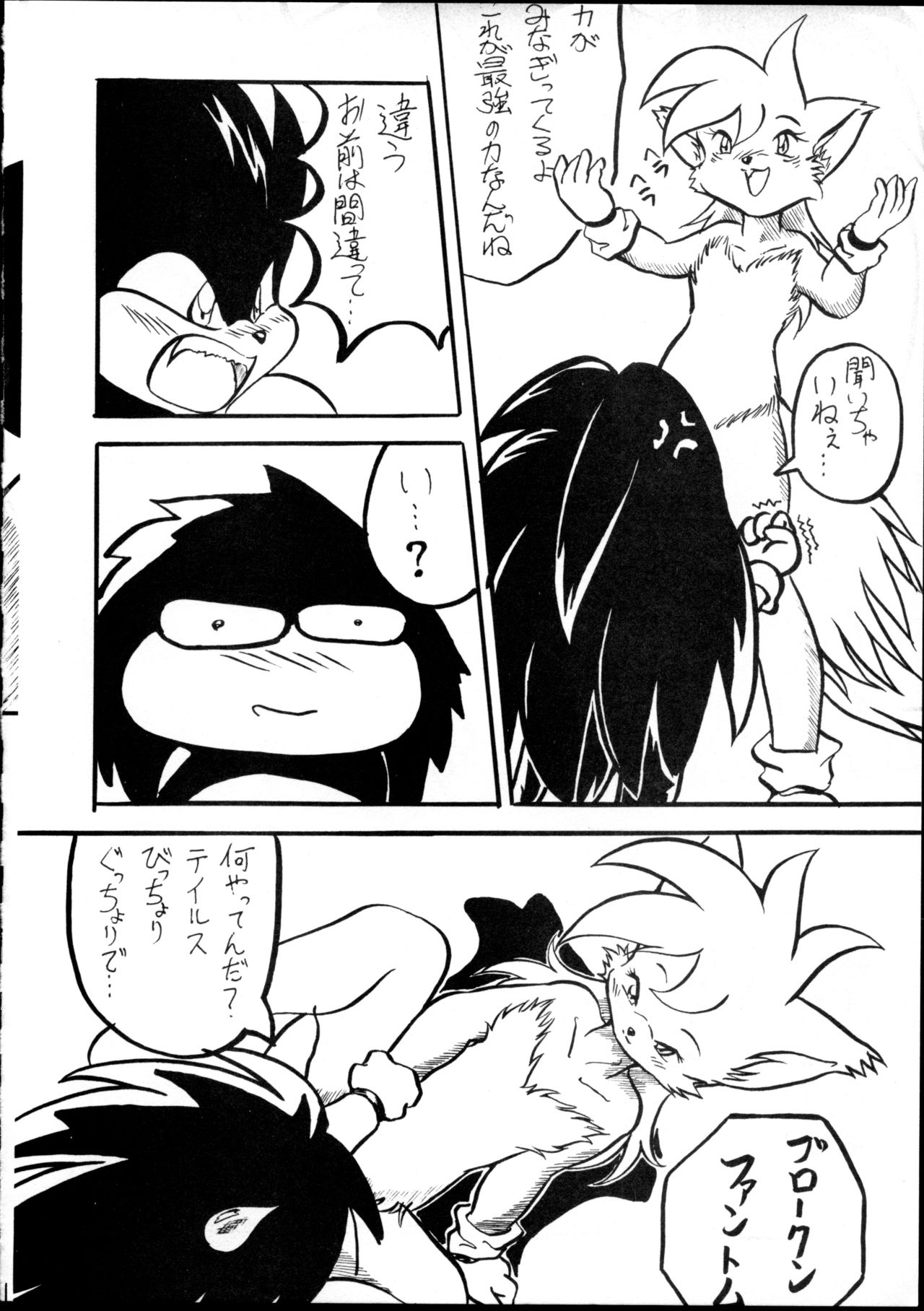 (C59) [Tadashii Kemonomichi (Enneko)] Boom (Sonic The Hedgehog) 图片编号 11