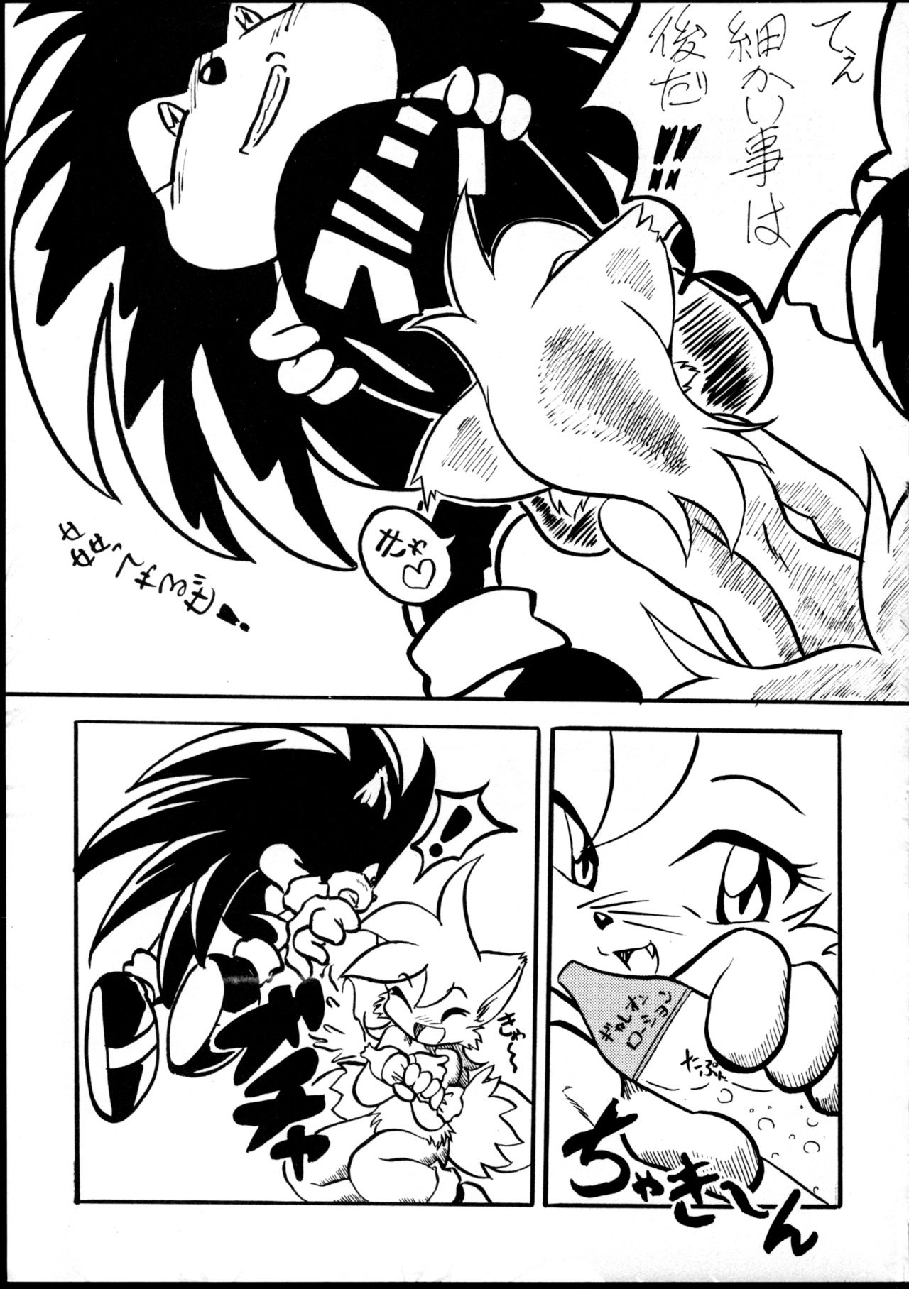 (C59) [Tadashii Kemonomichi (Enneko)] Boom (Sonic The Hedgehog) 图片编号 12