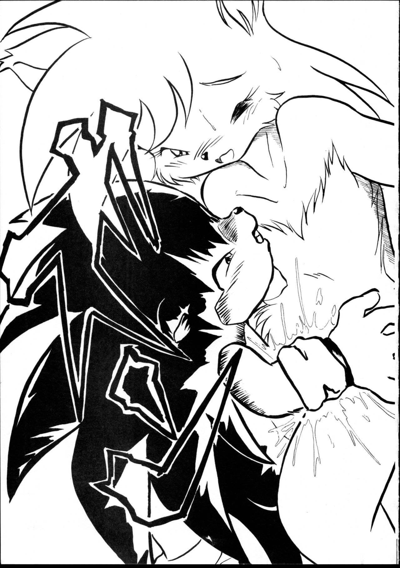 (C59) [Tadashii Kemonomichi (Enneko)] Boom (Sonic The Hedgehog) 图片编号 18