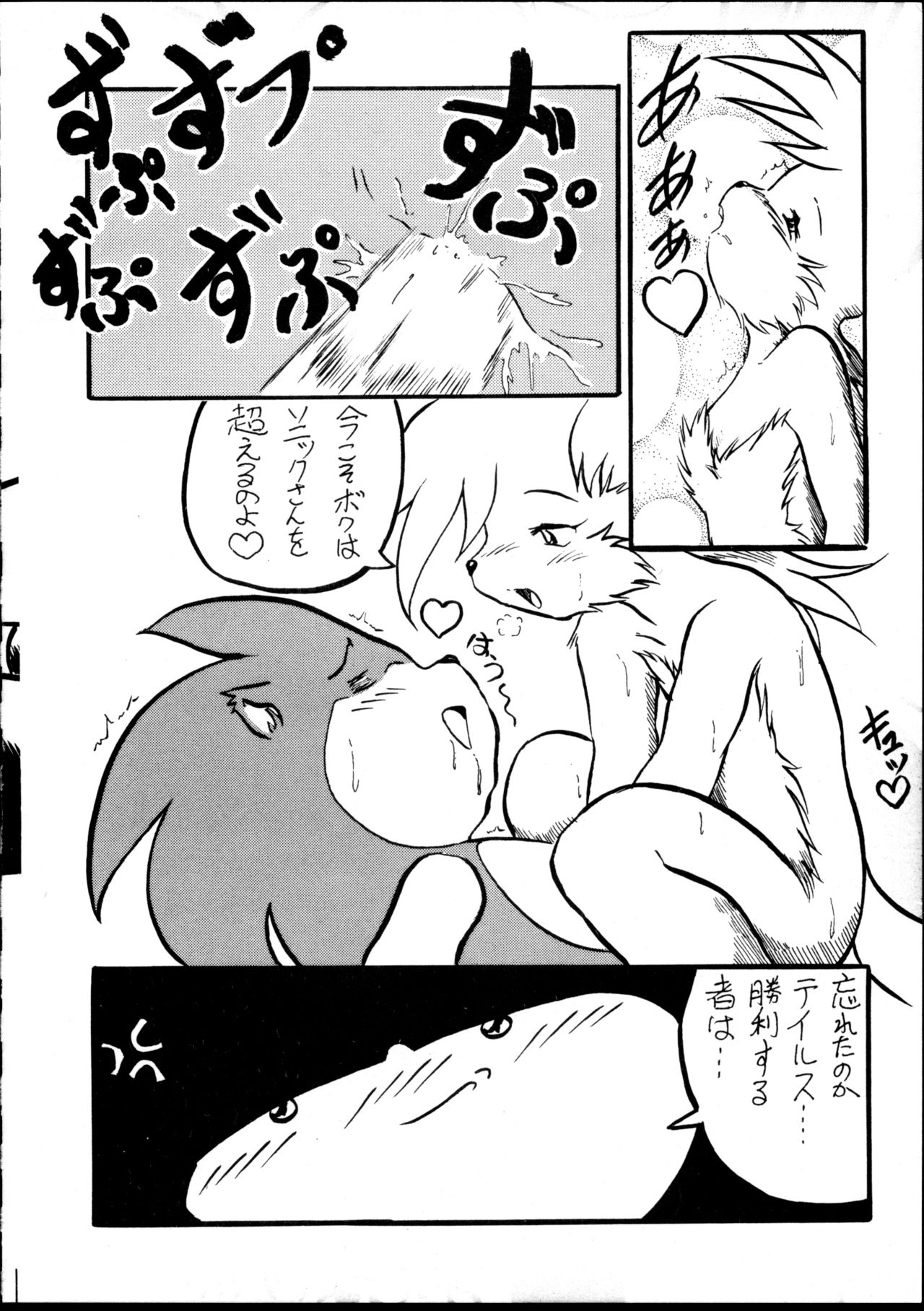 (C59) [Tadashii Kemonomichi (Enneko)] Boom (Sonic The Hedgehog) 图片编号 19