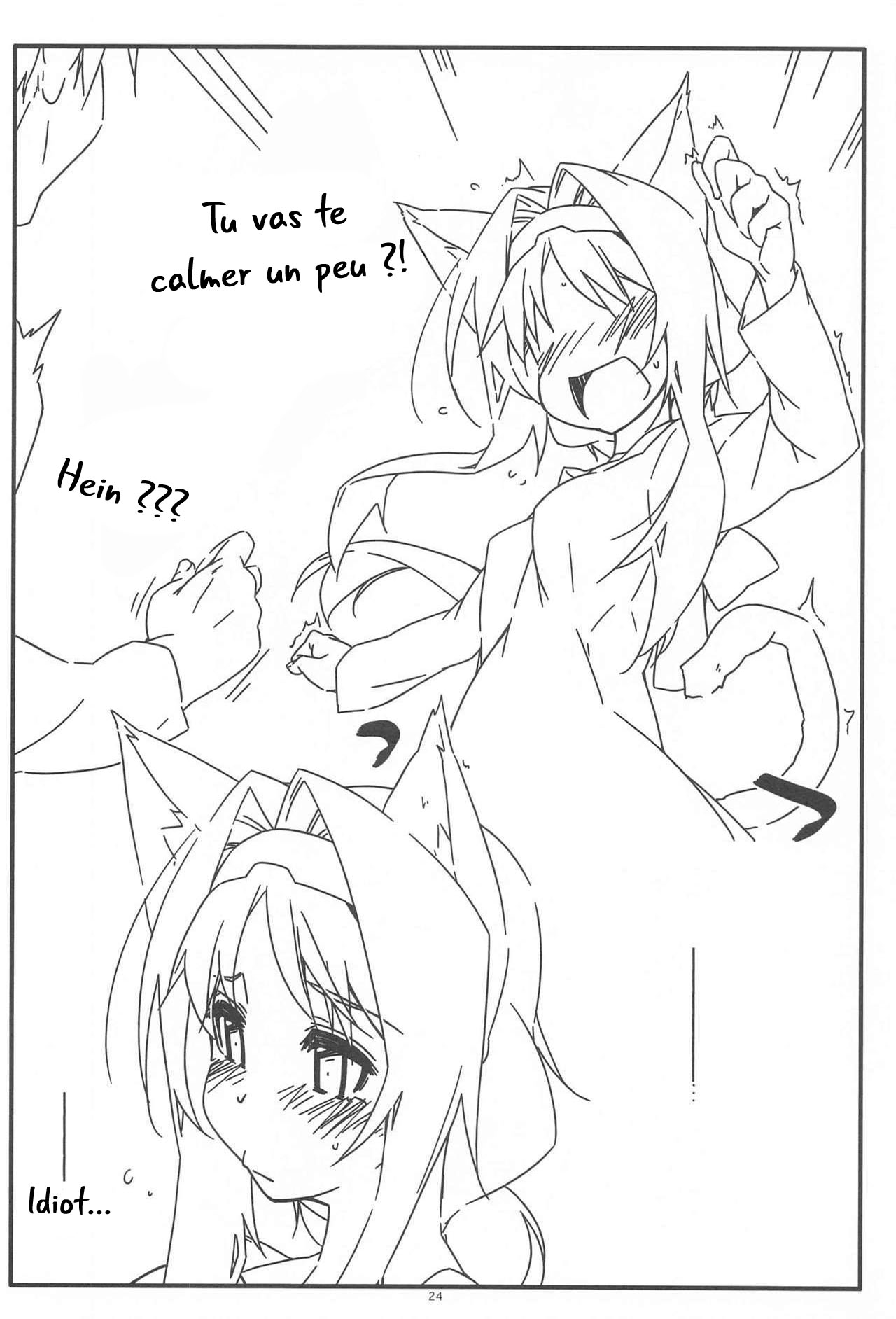 (Hataket) [ANGYADOW (Shikei)] Alice no Naisho | Le secret d'Alice (Sword Art Online) [French] [O-S] image number 23