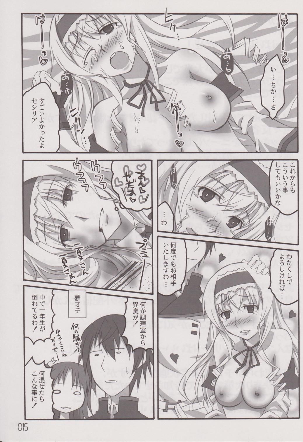 (SC52) [Licorice Candy (Kuroama)] CHORO-AO (IS <Infinite Stratos>) 画像番号 14