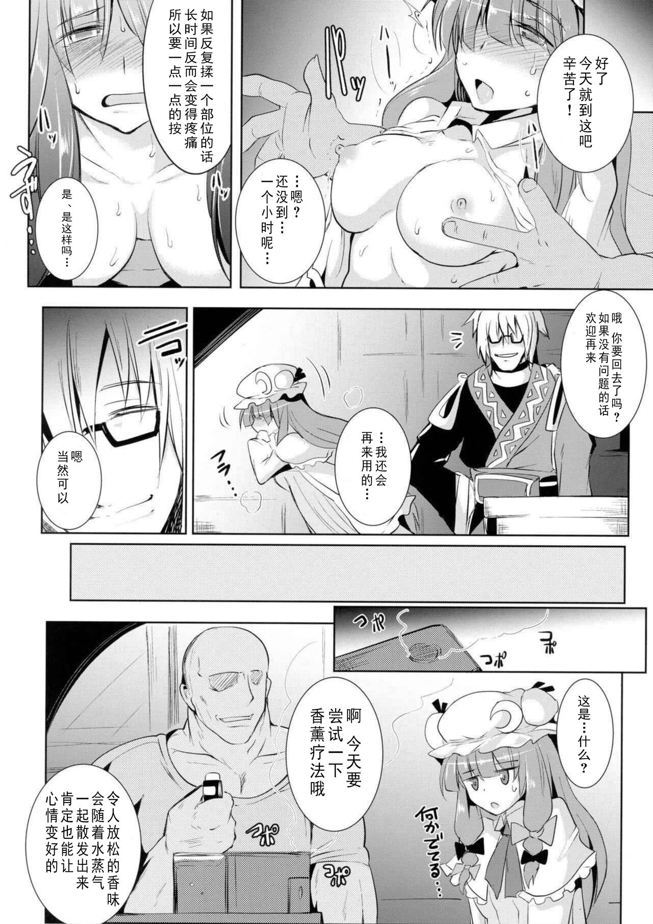 (Reitaisai 14) [MegaSoundOrchestra (Sanwaribiki)] Gensou Enkou -Knowledge- (Touhou Project) 이미지 번호 12