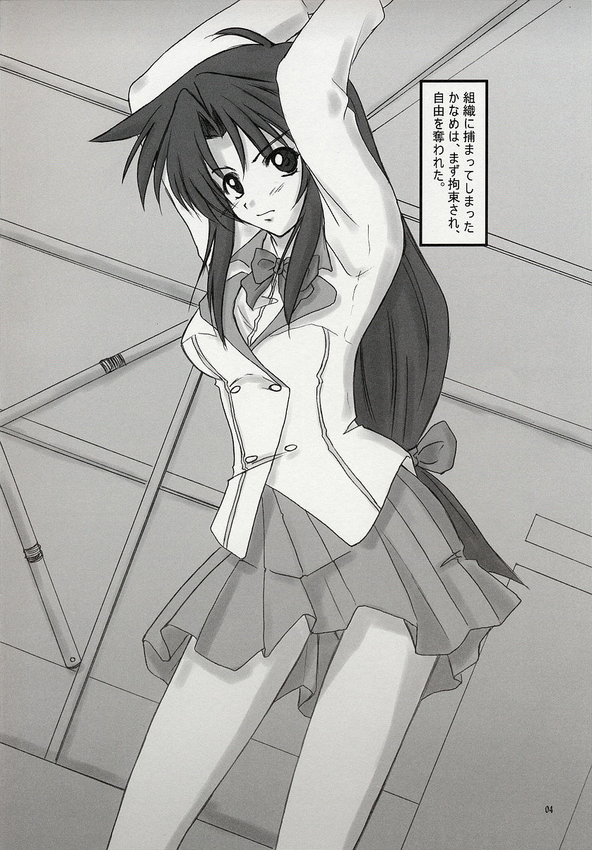 (SC23) [Chi-Ra-Rhyzhm (Hidaka Toworu)] Arakure! (Full Metal Panic) 画像番号 4