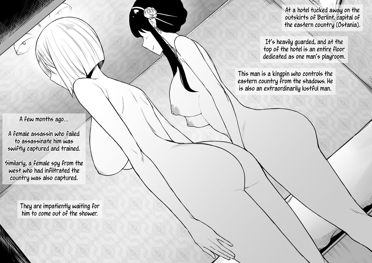 [Terasu MC] S〇Y×FAMILY Yor & Fiona [English] [Tekkamaki & AP] numero di immagine  1