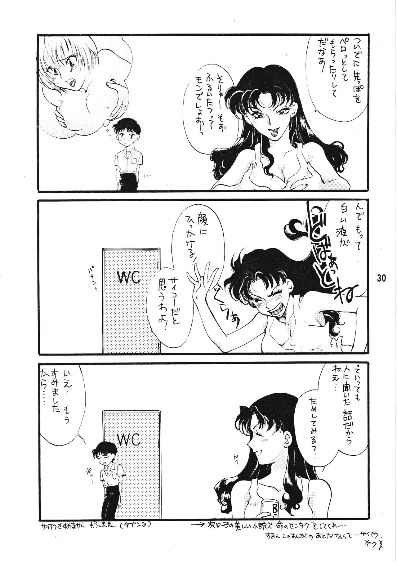 [Gekijou Pierrot (Various)] Seiteki Gengo Kajou Hannou Shoukougun (Neon Genesis Evangelion) [1996-04-07] 画像番号 29