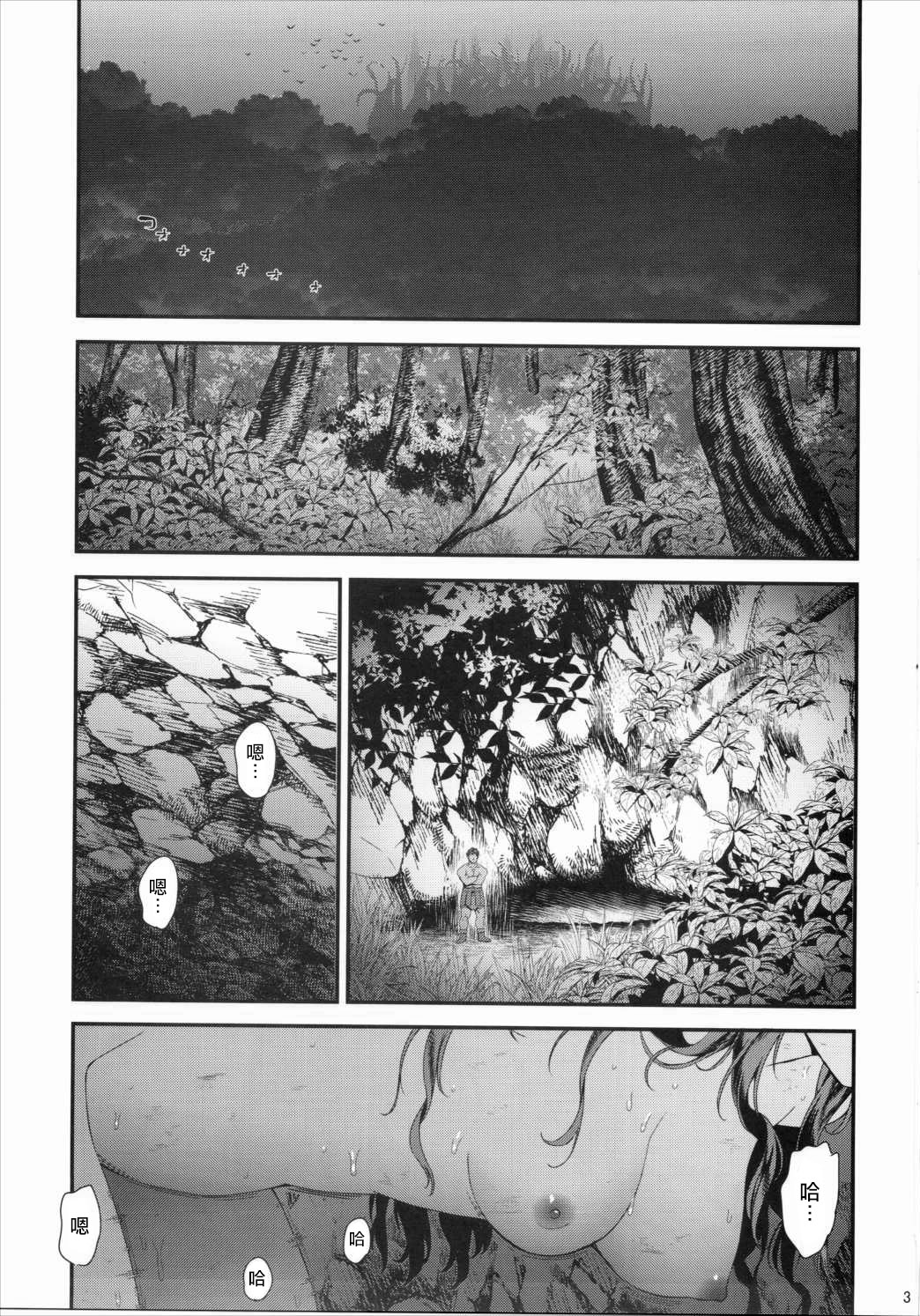 (C90) [Yamada Ichizoku. (Fukurokouji, Mokyu)] Seidorei Senki 3 (Go! Princess PreCure)[Chinese Translation] image number 2