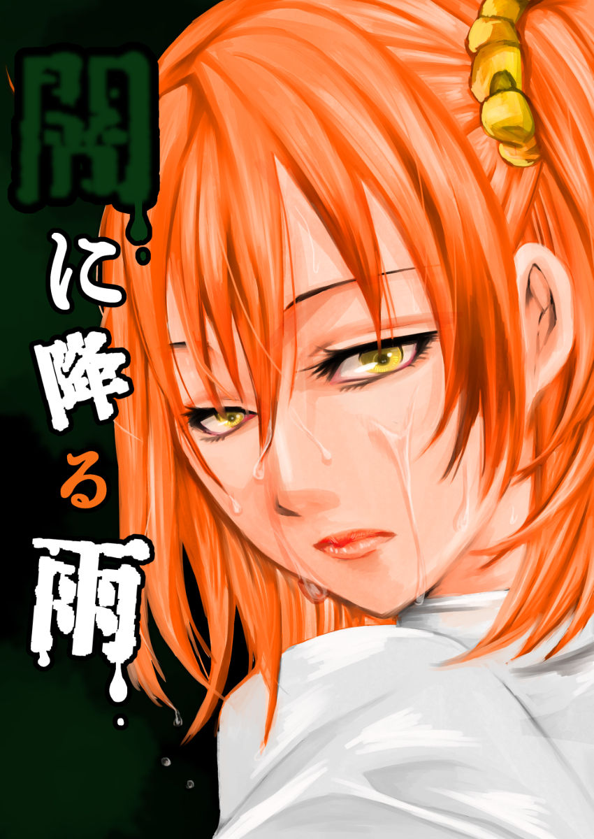 [Sanuki Ami] Yami ni Furu Ame 2 (Fate/Grand Order) изображение № 1