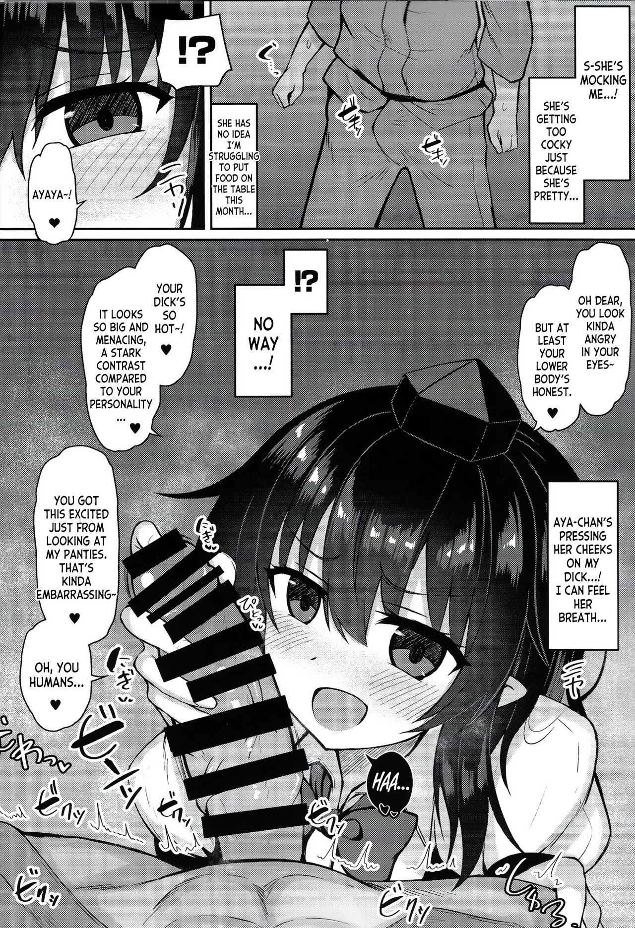 (C101) [tomikadou (tksand)] Tengu ga Ie ni Isuwatteru Ken (Touhou Project) [English] [desudesu] 图片编号 5