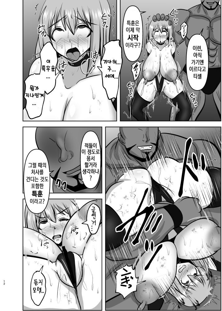 (C100) [FONETRASON (Ryutou)] Raygis Valicess Elsain Haimesu Shoukougun/Special training for overcoming trauma [Korean] image number 11