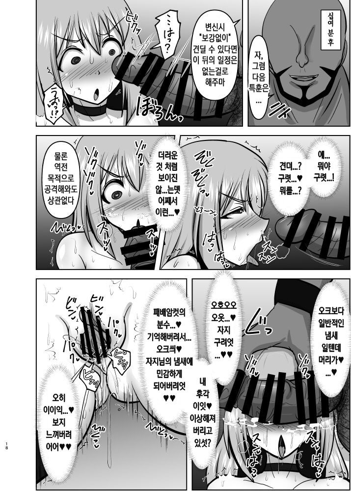 (C100) [FONETRASON (Ryutou)] Raygis Valicess Elsain Haimesu Shoukougun/Special training for overcoming trauma [Korean] image number 17