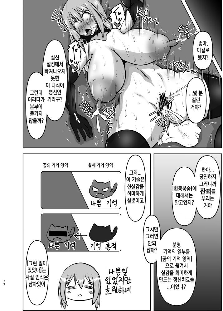 (C100) [FONETRASON (Ryutou)] Raygis Valicess Elsain Haimesu Shoukougun/Special training for overcoming trauma [Korean] image number 25