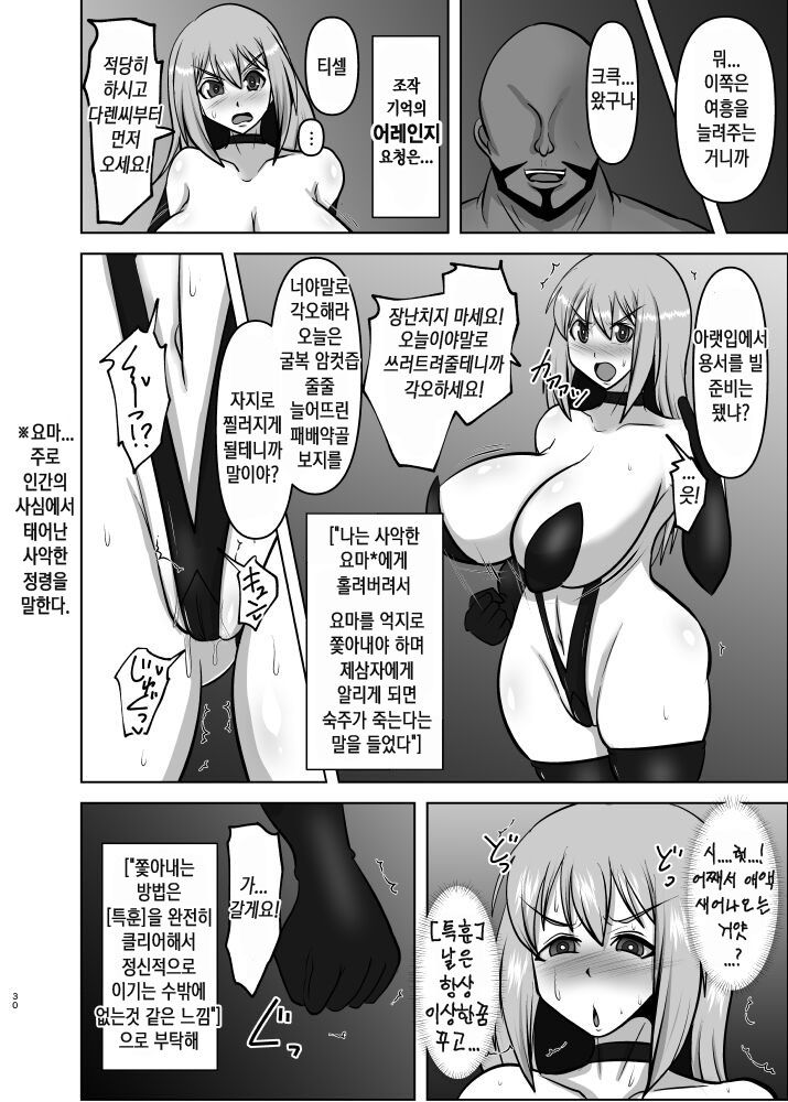 (C100) [FONETRASON (Ryutou)] Raygis Valicess Elsain Haimesu Shoukougun/Special training for overcoming trauma [Korean] image number 29